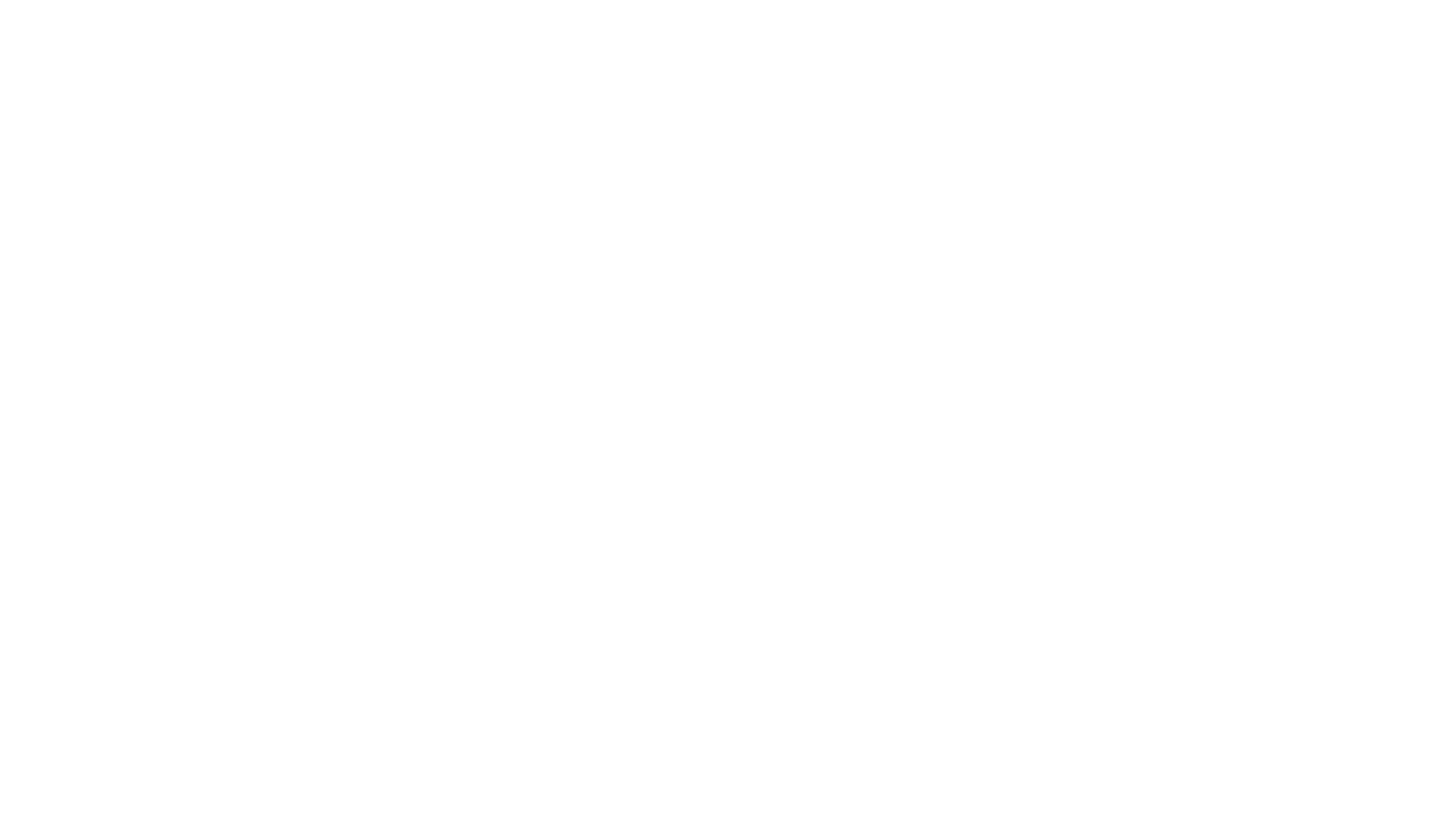 flexile-white-logo